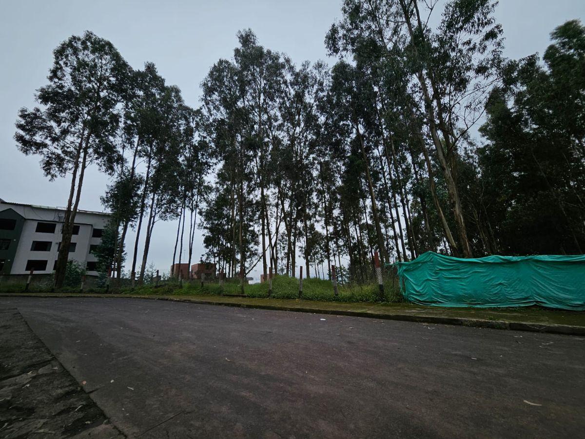 Terreno en Urbanizacion - Mariscal Sucre - Occidental — imagen 3