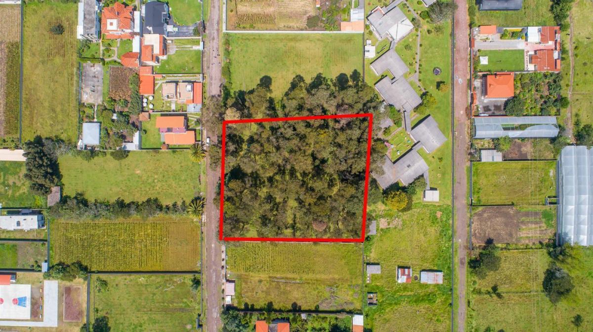 Terreno en Venta 384 m², Buenos Aires - Sector San Isidro del Inca — imagen 3