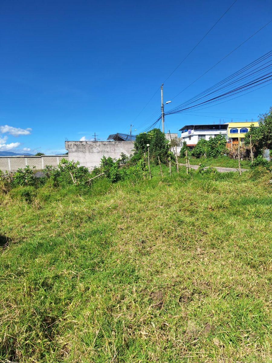 Venta Terreno 503 m² Barrio Aymesa Sur de Quito — imagen 4