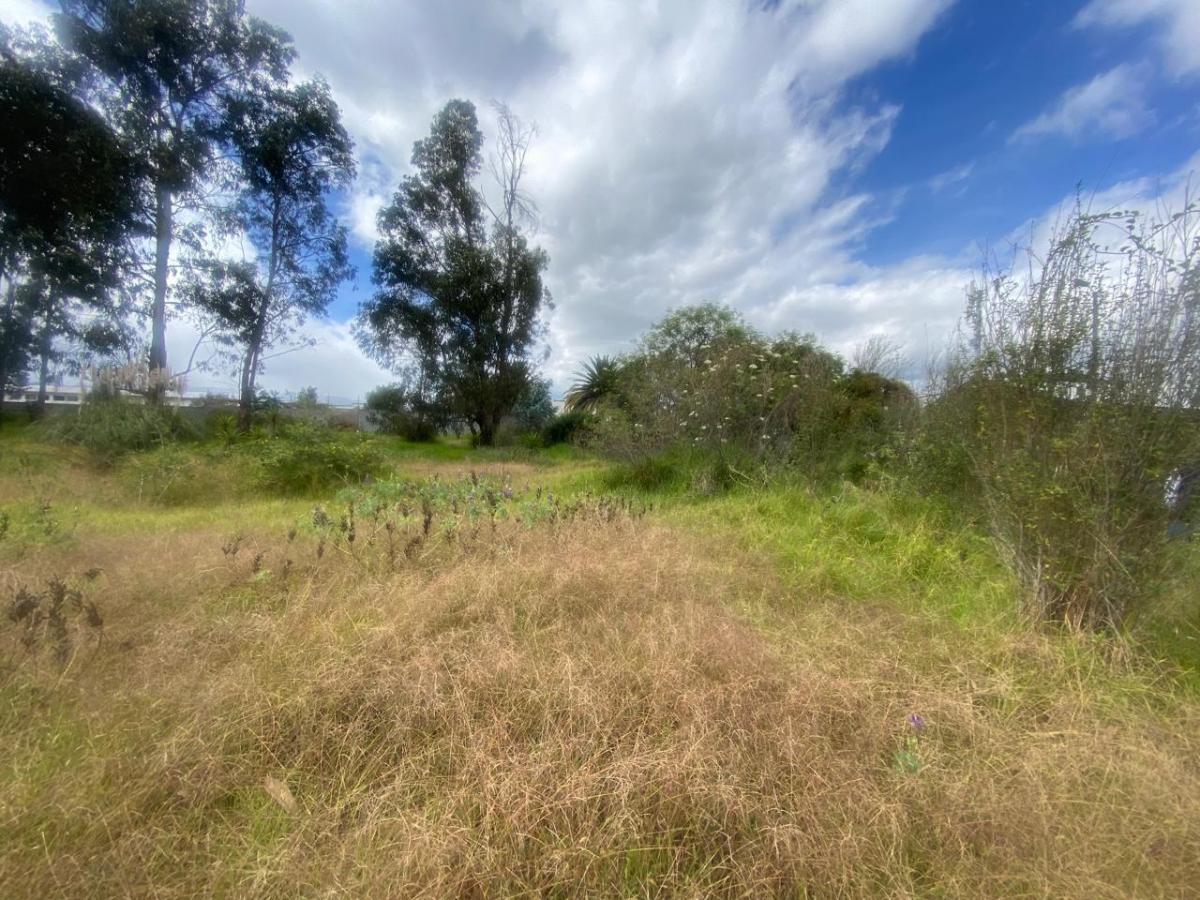 Venta Terreno Sector Valle de Los Chillos — imagen 5