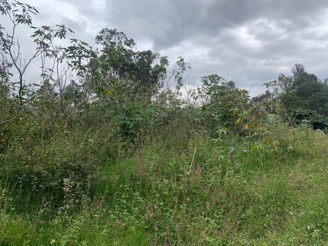 Terreno de Venta en Tumbaco Sector La Morita — imagen 5