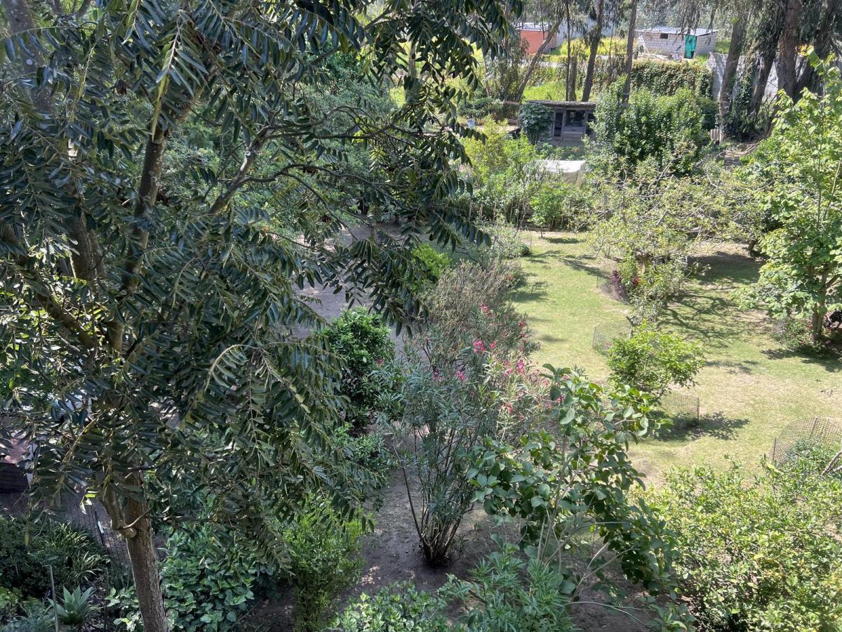 Terreno en Venta en San Juan de Cumbaya Ideal Para Constructores — imagen 3