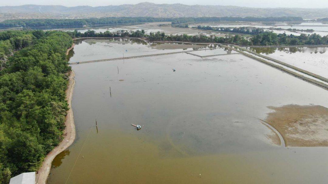 Camaronera de Venta en Tosagua Manabi Ar, Manabí — imagen 5
