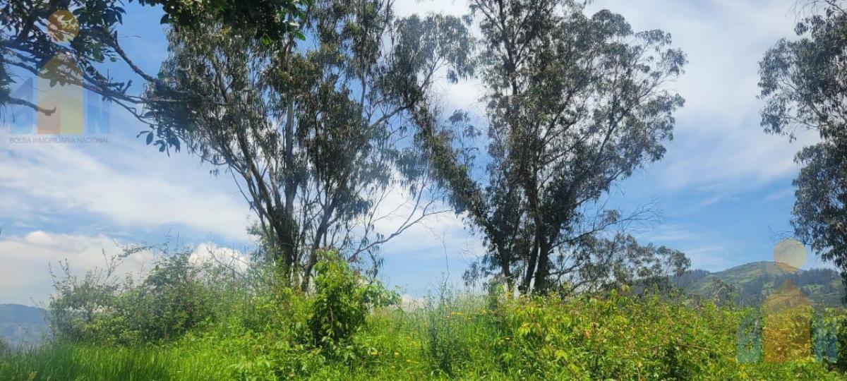Terreno en Venta - Sector Alangasi — imagen 5