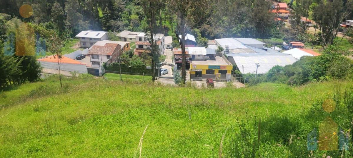 Terreno en Venta - Sector Alangasi — imagen 4