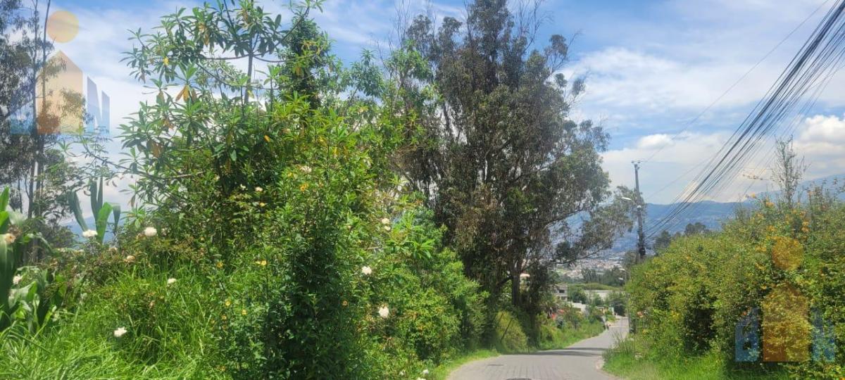 Terreno en Venta - Sector Alangasi — imagen 3