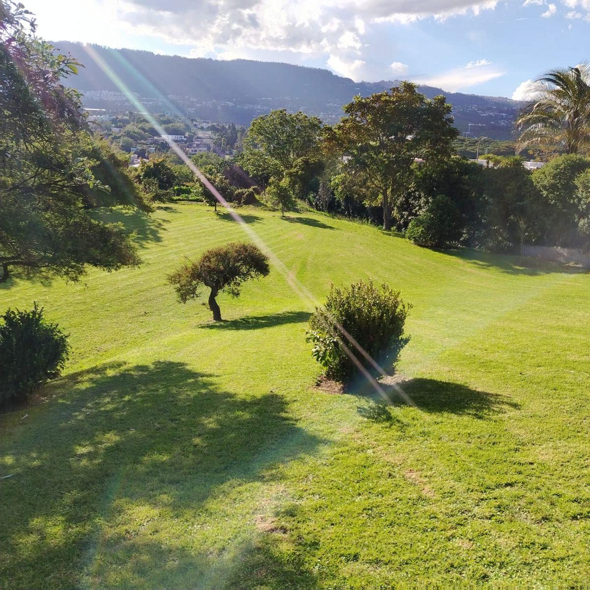 Venta de Terreno Independiente Sector de Meneses Pallares en Cumbaya — imagen 4