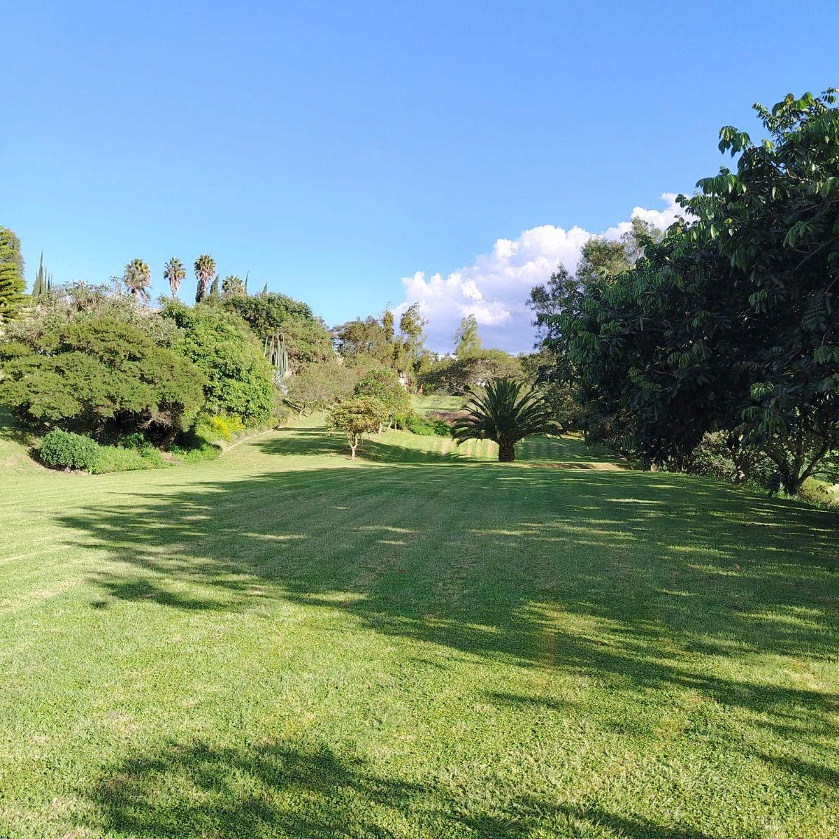 Venta de Terreno Independiente Sector de Meneses Pallares en Cumbaya — imagen 3