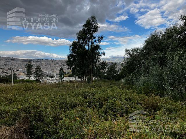 Carcelén Carretas - Camino de Los Eucaliptos, Terreno de 1037,37 m² en Venta - Lt No. 6 — imagen 8