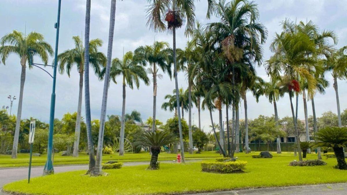 Riberas de Batan Terreno en Venta, Guayas — imagen 5