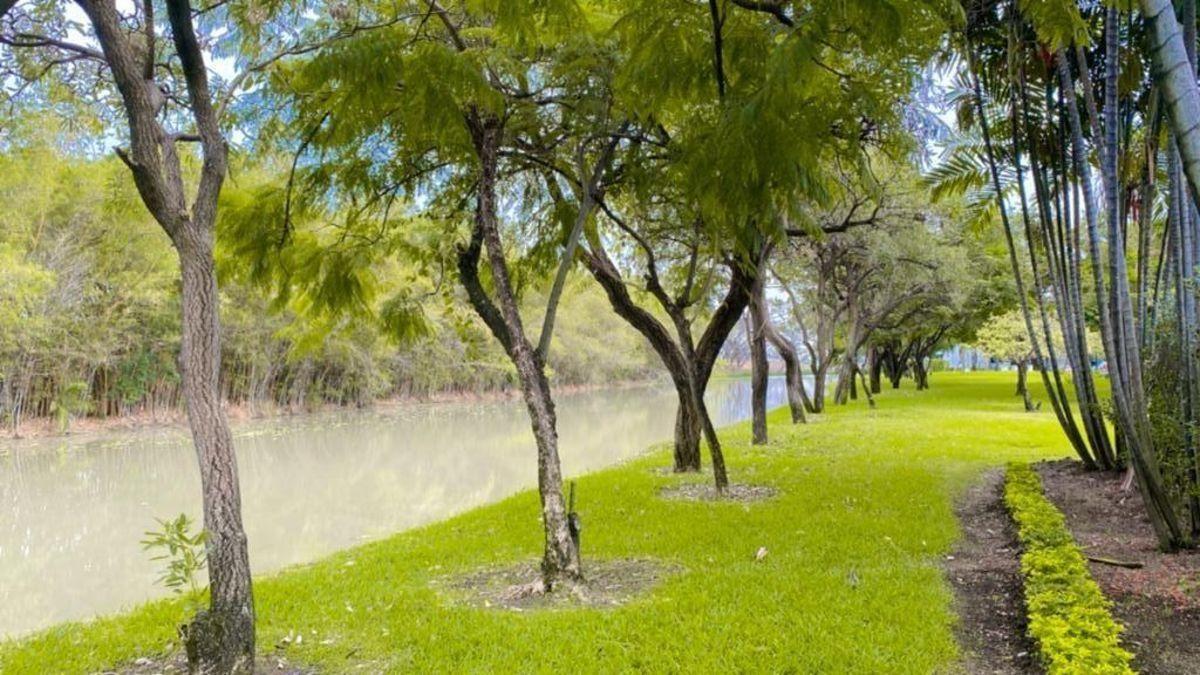 Riberas de Batan Terreno en Venta, Guayas — imagen 3