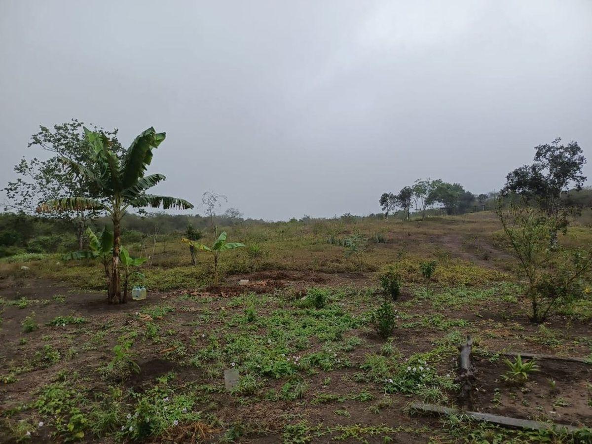Terreno de Venta en Montecristi Sector Manantiales, Manabí — imagen 5