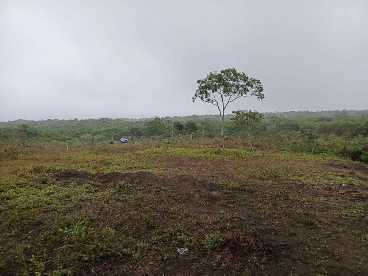 Terreno de Venta en Montecristi Sector Manantiales, Manabí — imagen 4