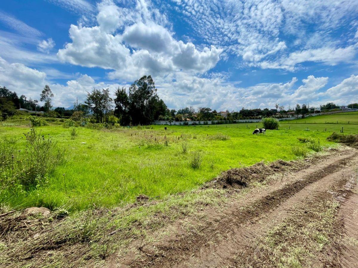 Terreno de 9872 en Venta, Puembo — imagen 7