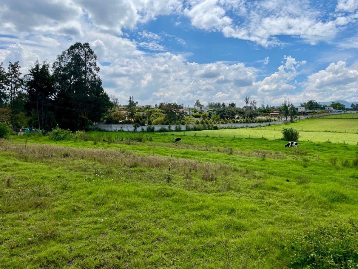 Terreno de 9872 en Venta, Puembo — imagen 6