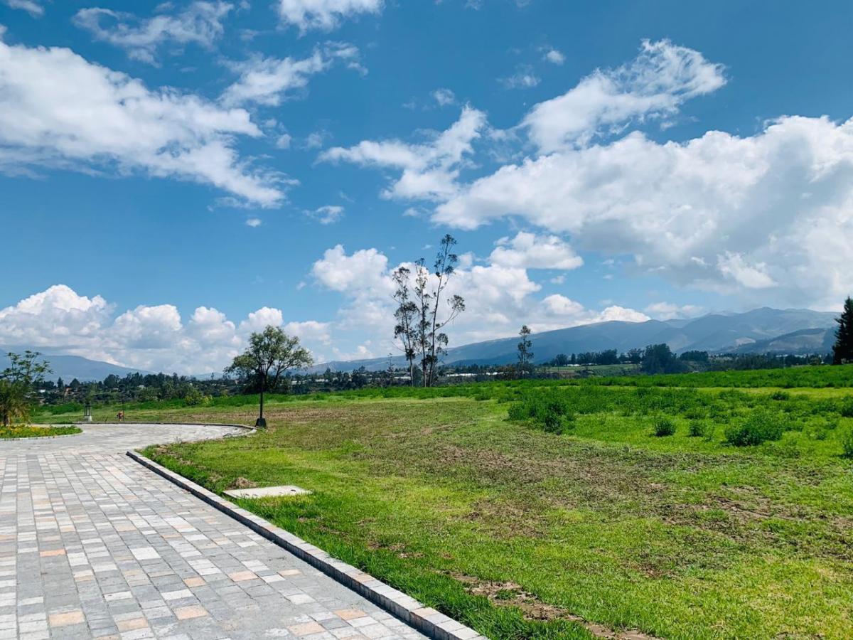 Venta Terreno en Checa Cerca Al Polo Quito Club — imagen 3