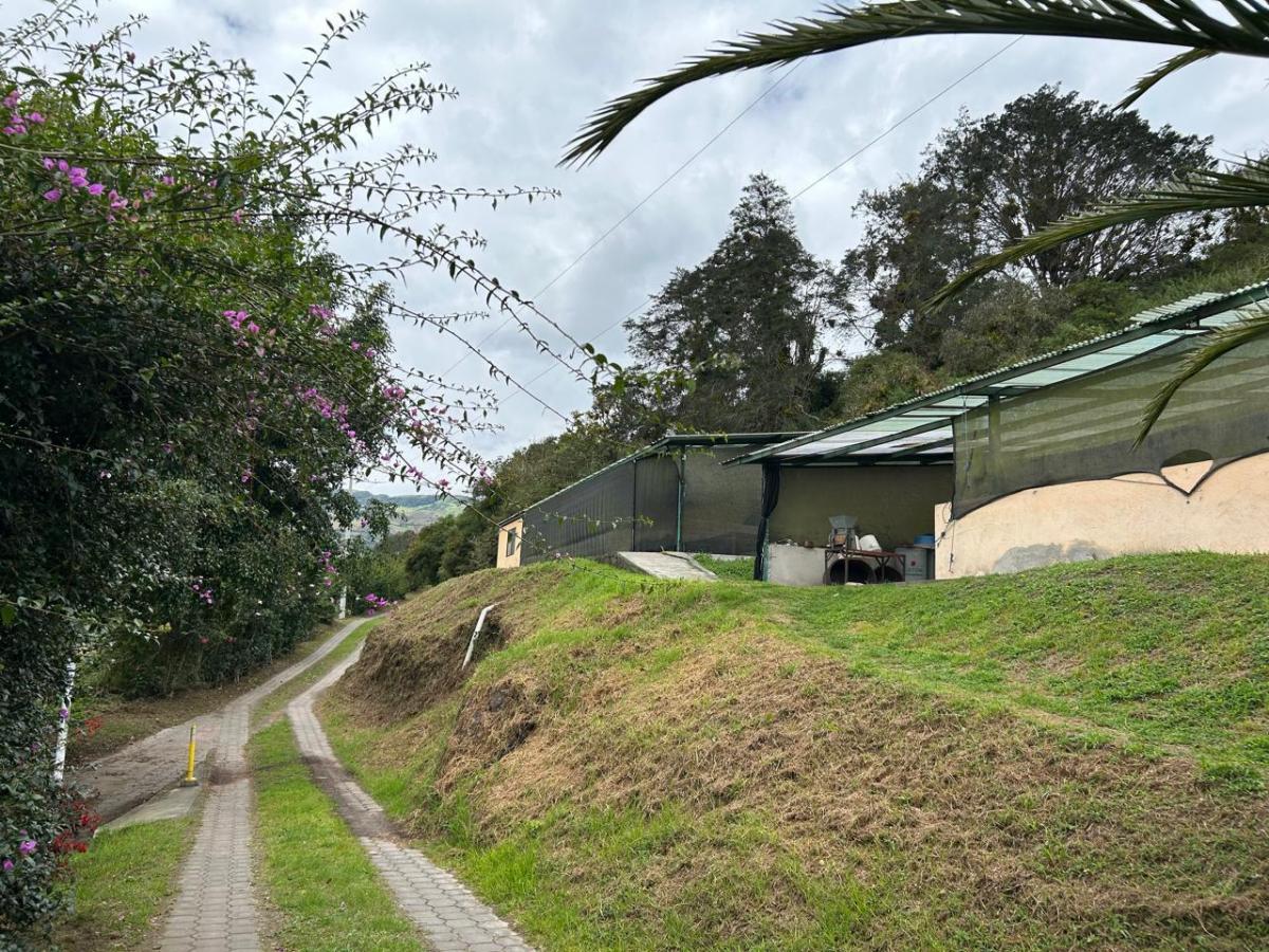 Se Vende Finca en Perucho Via a San Jose de Minas — imagen 5