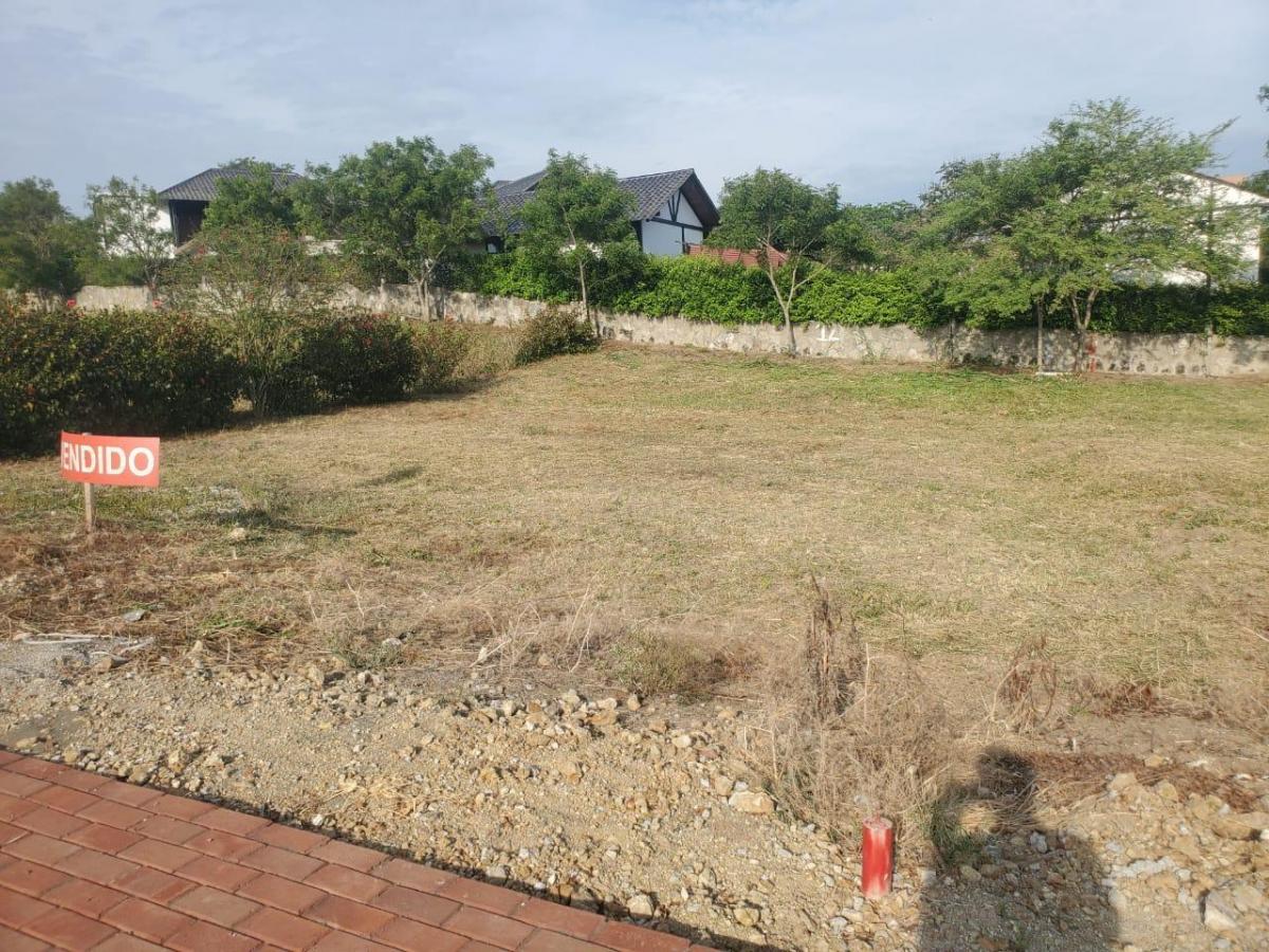 Terreno en Venta Urbanización Sol de Olón - Santa Elena — imagen 5