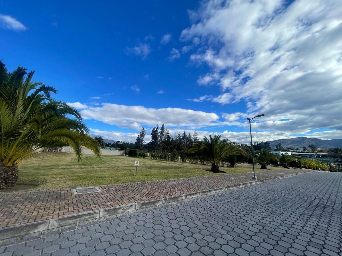 Terreno de 1246 m² en Venta en Puembo Dentro de Urbanización — imagen 4
