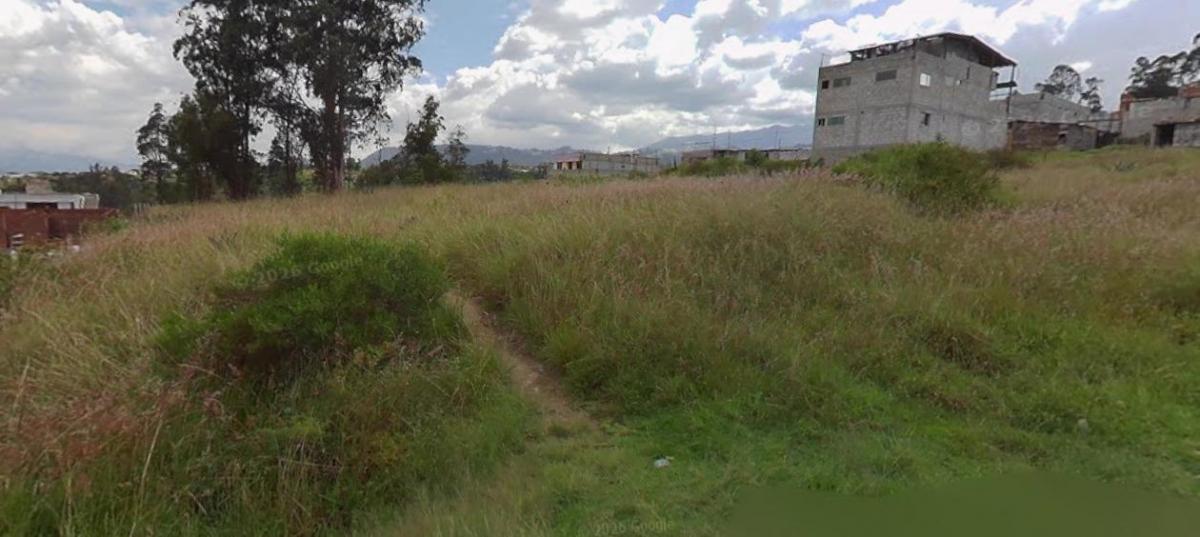 Terreno en Venta Llano Grande 6265 m² — imagen 4