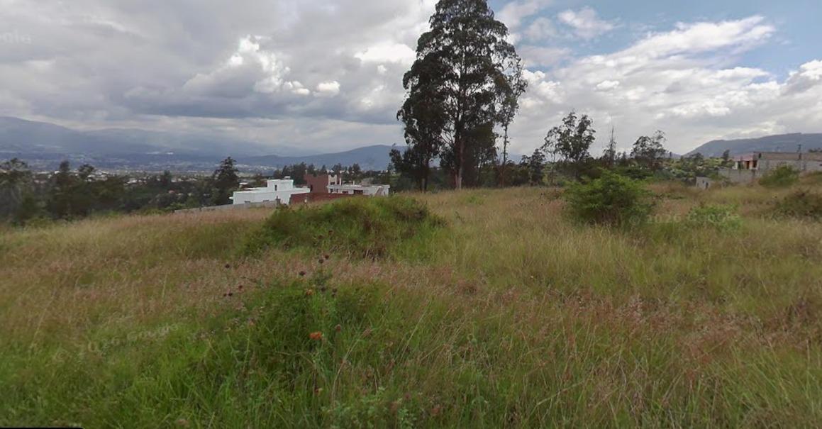 Terreno en Venta Llano Grande 6265 m² — imagen 3