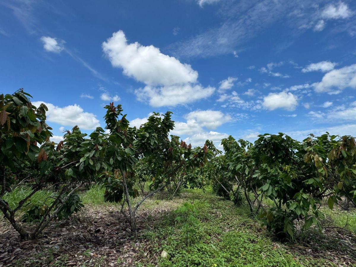 Vendo Hacienda en Sector Churute Guayas, Guayas — imagen 4