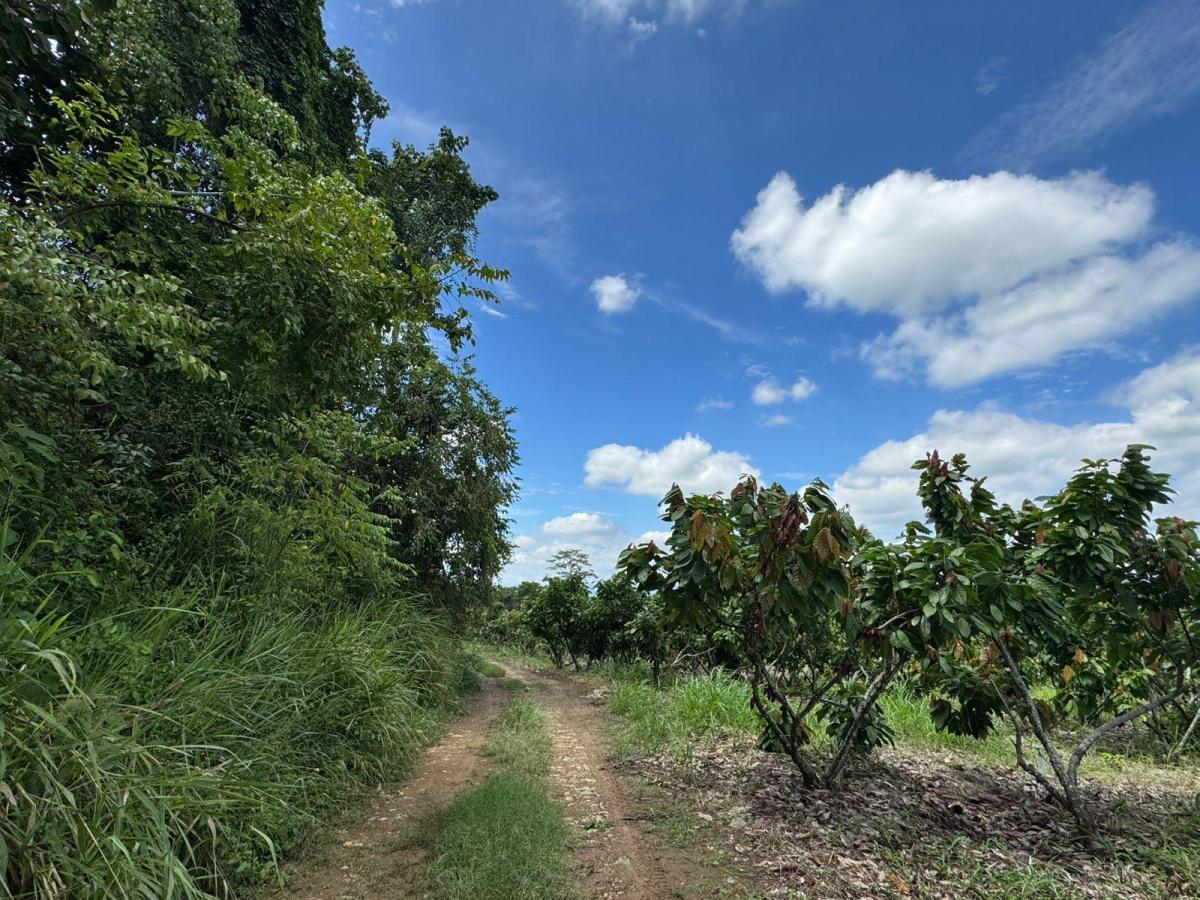 Vendo Hacienda en Sector Churute Guayas, Guayas — imagen 3