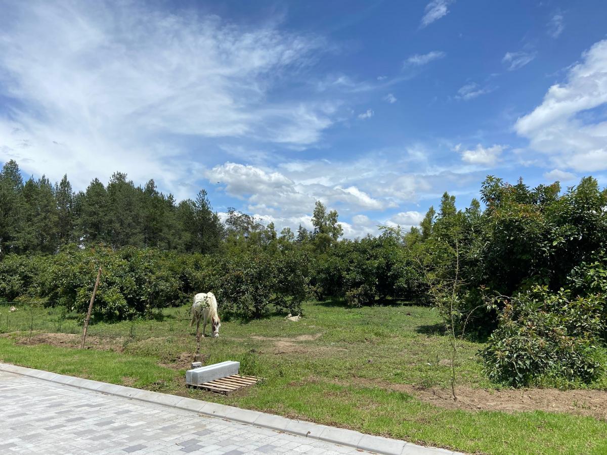 Checa Urbanización Privada — imagen 3