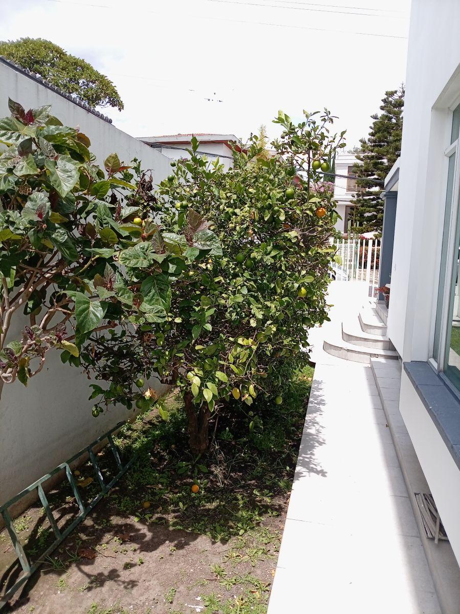 Casa con 3 Recámaras en Venta en Cumbayá, 315 m² de Terreno — imagen 5