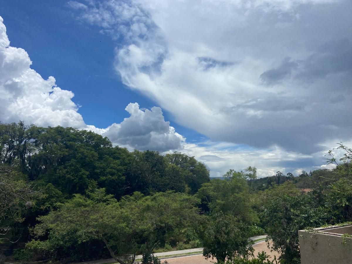 Vive Rodeado de Naturaleza — imagen 3