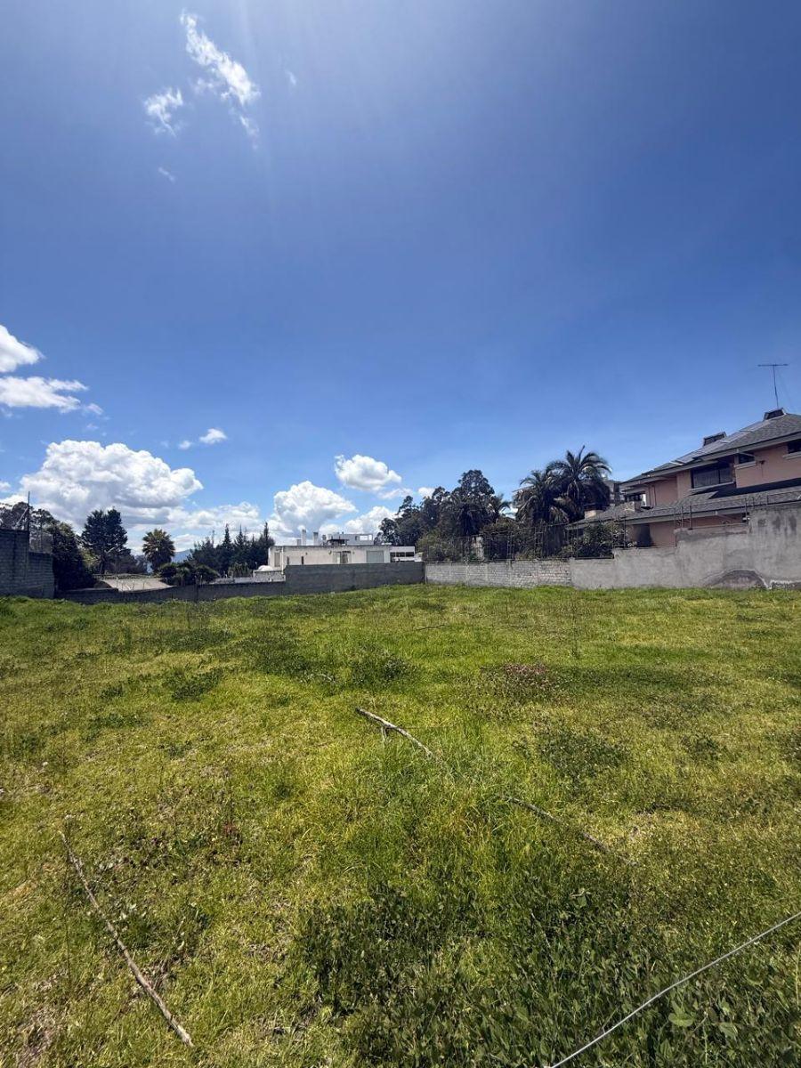 Terreno de 1372 m² en Venta Dentro de Urbanización Lomas de Monteserrin — imagen 5