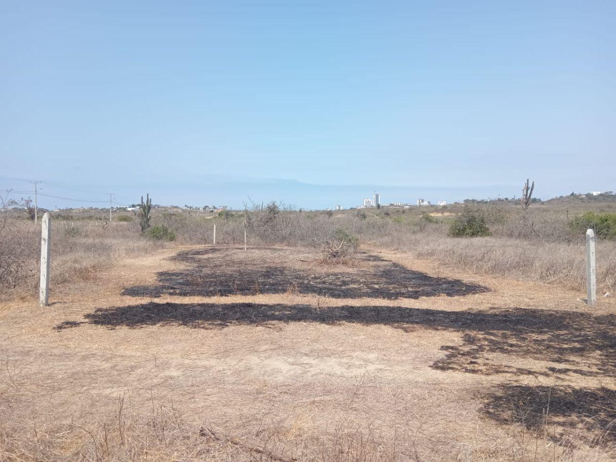 Vendo Solar de 250 m² en Punta Blanca Frente a Entrada 5 — imagen 4