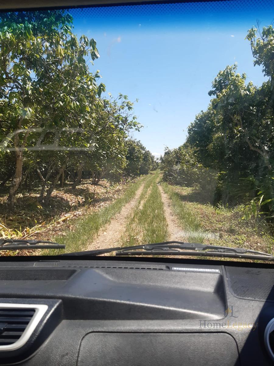 Haciendas en Venta – Inversión Estratégica Norte de Naranjal Am, Guayas — imagen 5