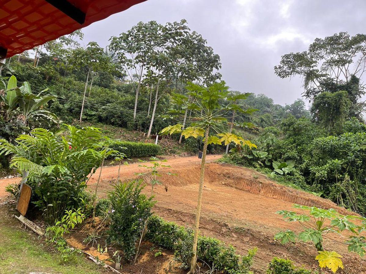 Pedro V. Maldonado Vendo Terreno Aplanado, 1000 m², Listo Para Contruir — imagen 5