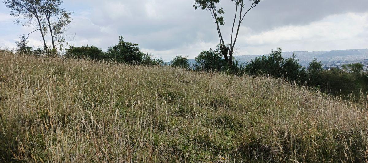 Terrenos en Venta Chillogallo — imagen 3