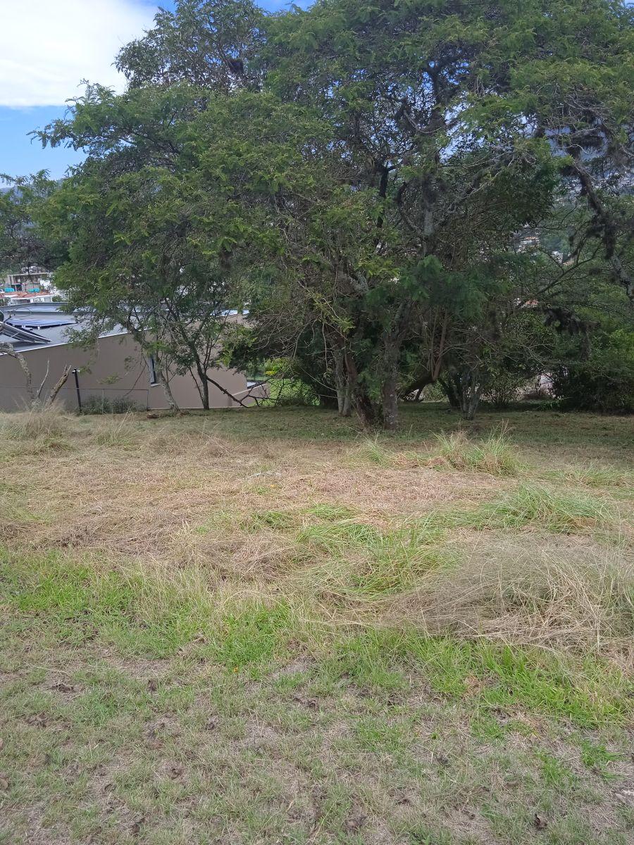 Lindo Terreno en Urbanización Exclusiva — imagen 5