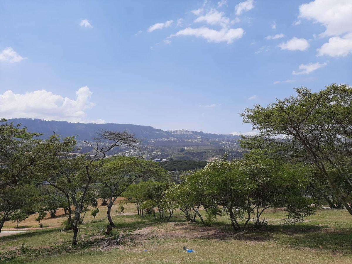 Lindo Terreno en Urbanización Exclusiva — imagen 4
