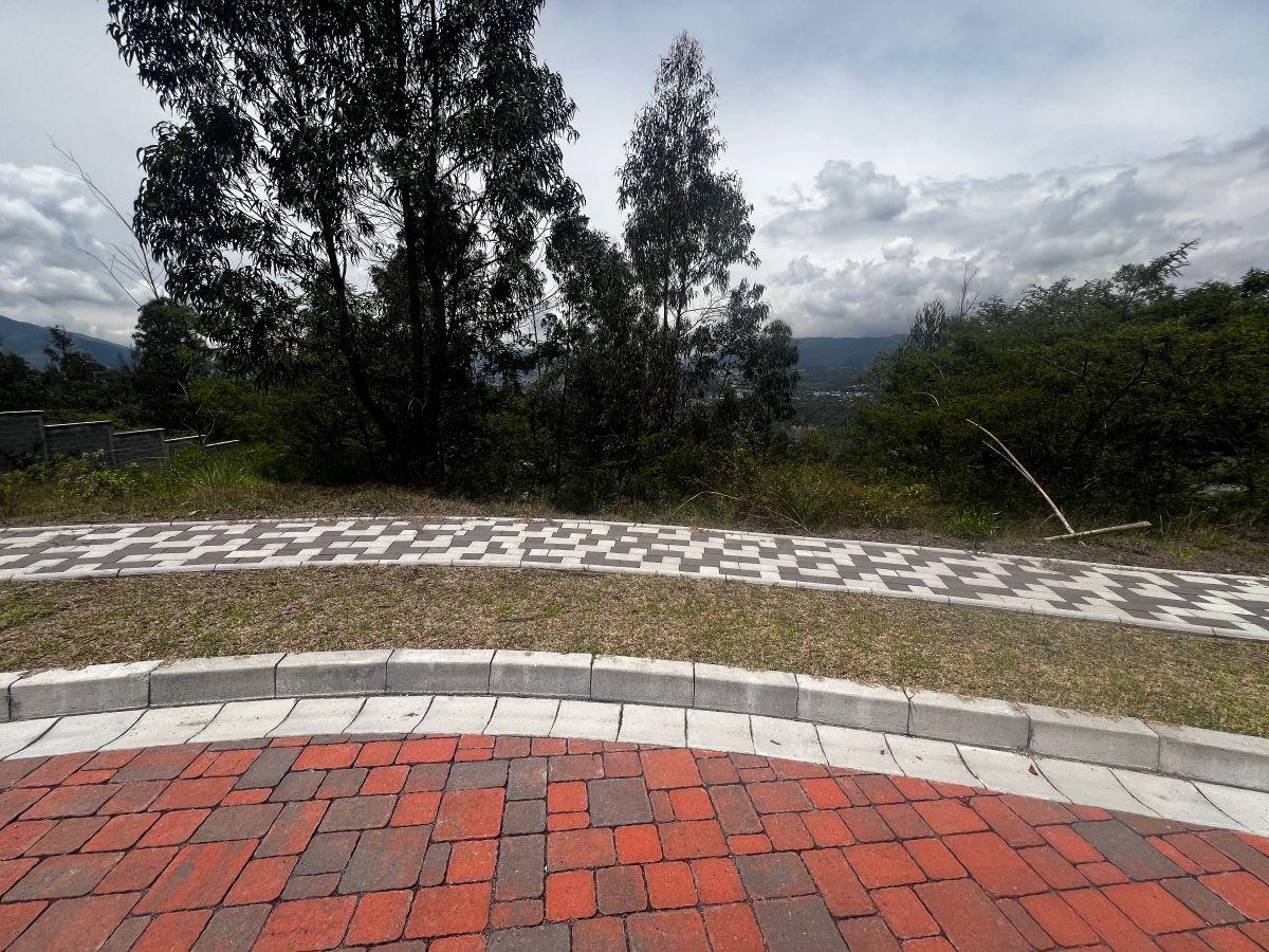 Vendo, Terreno de 1100 m² en Urbanización Exclusiva en Tumbaco — imagen 4