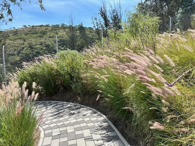 Vendo 2 Terrenos en Urbanización Privada, Sector Collaqui - Tumbaco — imagen 4