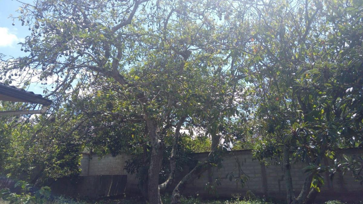 Terreno en Venta en Puembo, Ideal Para Lotizar, alto Cos, Excelente Ubicación, en Conjunto Privado — imagen 5
