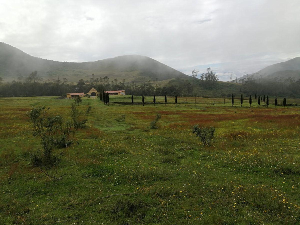 Venta Terreno Calacali 29.9 Has. Incluye 8 Has Planas. Estudio Fotovoltaico — imagen 5