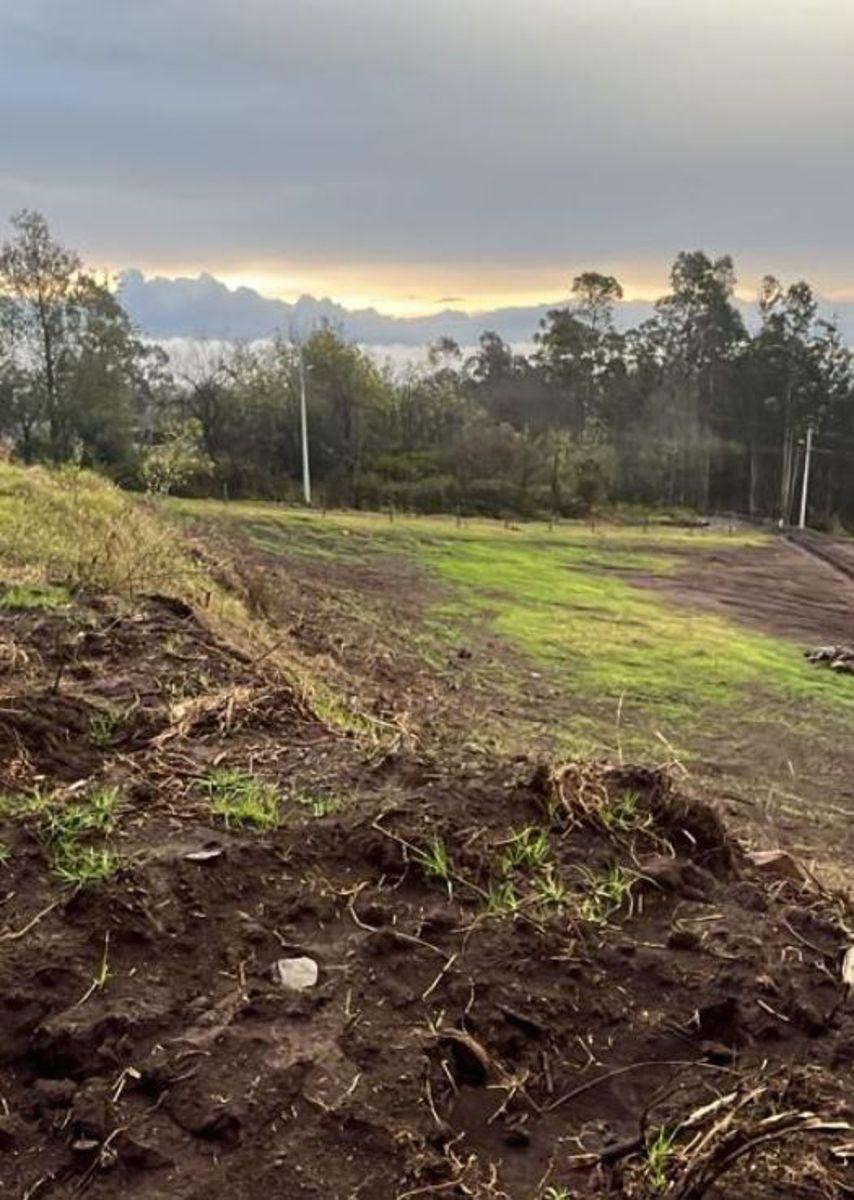 Terreno de 3579 m² en Venta en Pifo en Urbanización — imagen 5