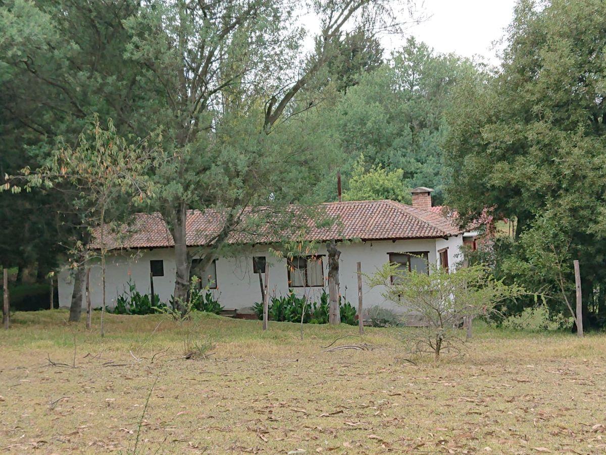Vendo Terreno de 27000 m con Casa 240 m en Pifo — imagen 4