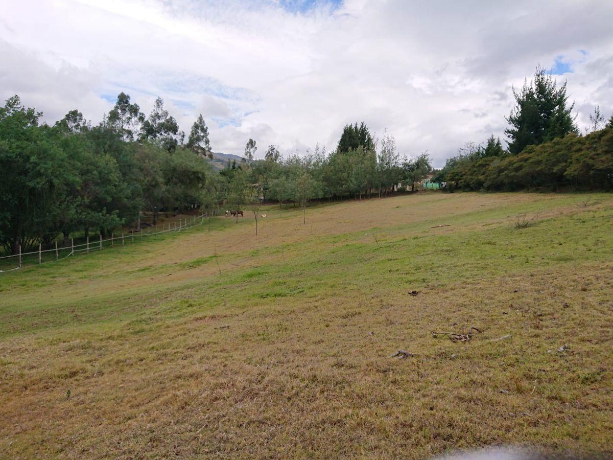 Vendo Terreno de 27000 m con Casa 240 m en Pifo — imagen 3