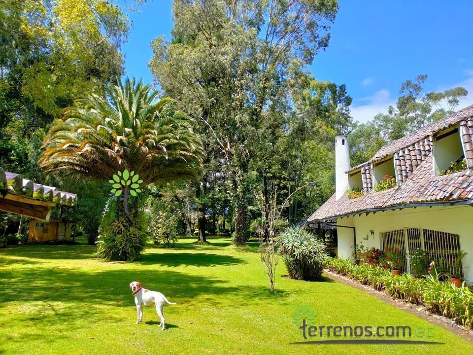 Venta de Terreno Sangolquí de 16.815 m², Lote Mínimo 300 m². Provincia de Pichincha — imagen 4