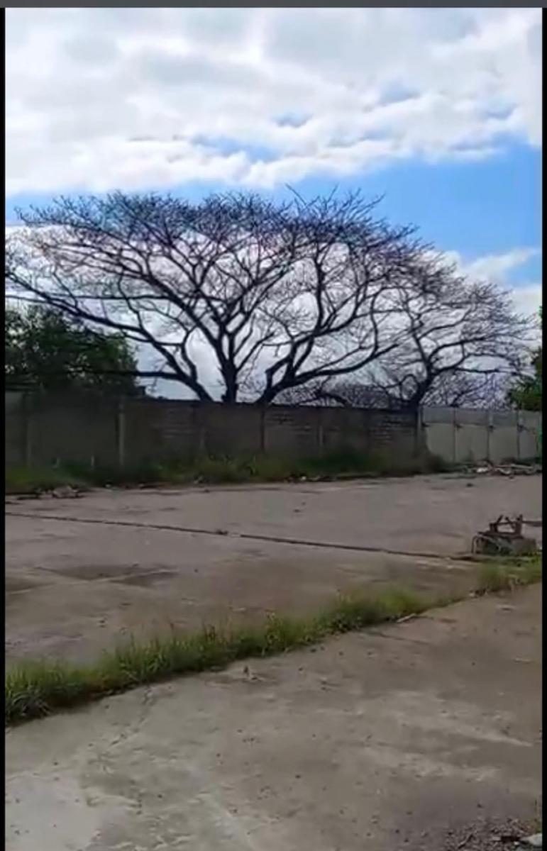 Via a La Costa Km 10.5 Vendo Macro Solar, Guayas — imagen 5
