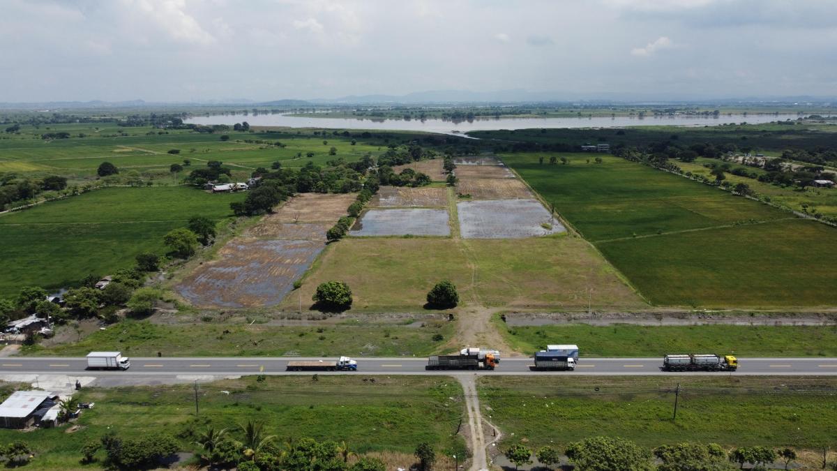 En Venta Macrolote Industrial Vía Al Pan Km7 - Amparo Marín, Guayas — imagen 4