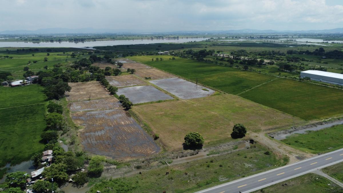 En Venta Macrolote Industrial Vía Al Pan Km7 - Amparo Marín, Guayas — imagen 3
