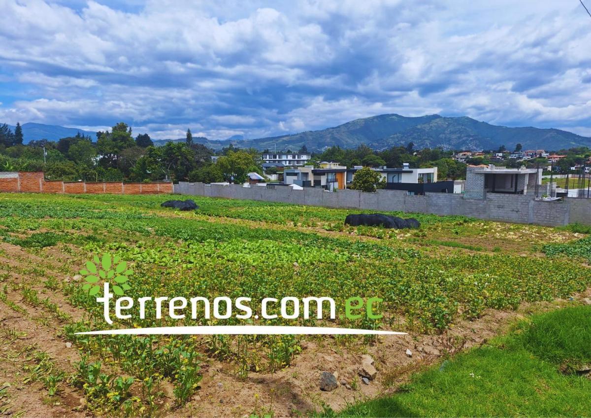 Terreno Independiente de Venta de 4.250 m² Tumbaco — imagen 5