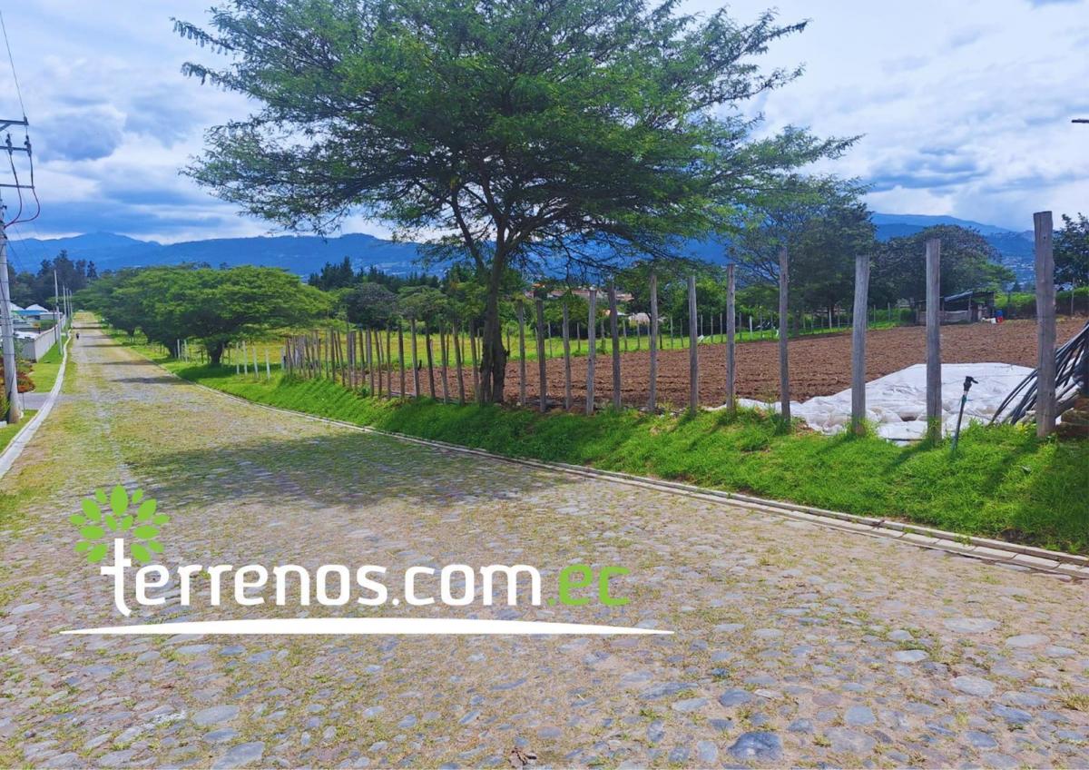 Terreno Independiente de Venta de 4.250 m² Tumbaco — imagen 4